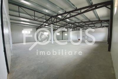 Hala industriala productie/depozitare de vanzare - Sag - 2