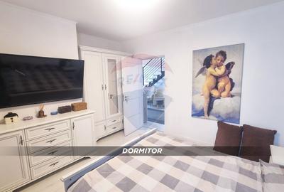 Apartament 3 camere, doua niveluri, compartimentare unica-Victor Babes - 8