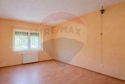 Vila rezidential/  gradina de vis/sera/ panouri/ Sanpetru! - 14