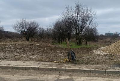 Voluntari   Matei Millo  Pipera  Vanzare  teren  intravilan - 11