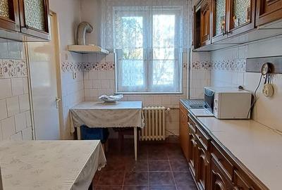 Apartament cu 3 camere, parter inalt, zona Sovata-malul Crisului - 14