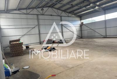 Hală industrială de închiriat – Târgu Jiu, Str. Tineretului - 6