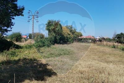 Teren 1,035mp Roznov / Strada Șes - 10