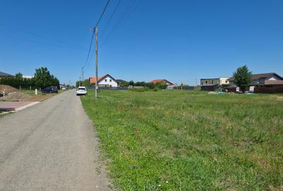TEREN PREMIUM DE VÂNZARE ÎN DUMBRĂVIȚA – LÂNGĂ PĂDURE - 1