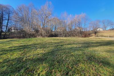 Teren rezidential zona Bran Predelut zona de case si pensiuni - 3