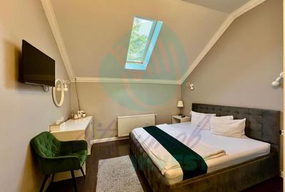 Afacere la cheie – Bistro & Airbnb | Vilă consolidată Parcul Carol & Tineretului - 12