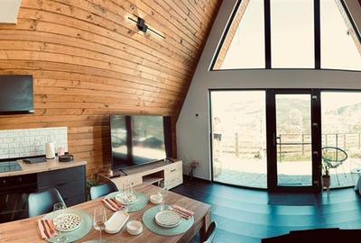 Casa A-Frame de vanzare | Valea Doftanei, Tesila | Constructie 2024 | Teren 627 - 19