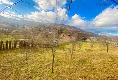 Teren in sat, cu fundație casa P+1, vedere largă, lângă rău - 9