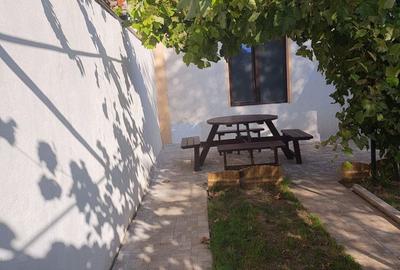 Trocadeo, casa ideal BIROURI, curte - 8