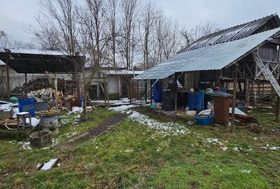 VÂNZARE MOȘIE – Sat Mitrofani, Comuna Mitrofani, jud. Vâlcea - 15