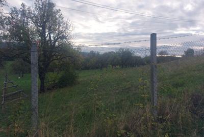 Teren Josenii Bargaului - 1