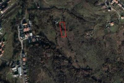 Zorilor - Frunzisului, Teren intravilan in suprafata de 2.600 mp, Cluj Napo - 3