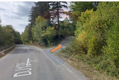 Vânzare teren extravilan, 4 ha pădure, zona turistică Liban, Harghita - 2