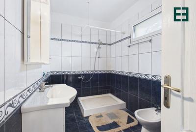 Proprietate industrială + Teren 8.632 - Voiteg - Județul Timiș - 12