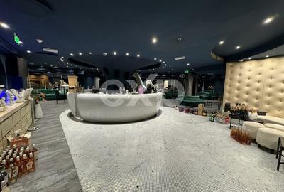 Vanzare Afacere la Cheie | Club de Noapte | Autorizat ISU | Herastrau 1150 MP - 18