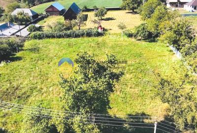 TEREN intravilan 3260 mp  ROZNOV – CHINTINICI - 3
