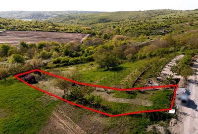 RECO Teren, zona Gheorghe Doja Saldabagiu de Munte, 1129 mp, panorama - 2