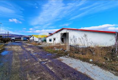 Hala industriala 2000 mp + teren 2776 mp | Rasnov – zona industriala Chimica - 3