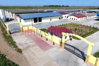 *Fermă modernă pentru export miei | 6 ha | Standarde europene | Aproape de Brăil - 10