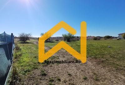 Corbeanca - Tamasi | Teren 1225mp, deschidere 44ml | Utilitati la 50m - 5