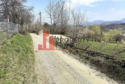 TEREN 2.495 MP | BRAN – SOHODOL | VEDERE PANORAMICĂ SPRE BUCEGI - 12
