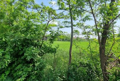 Teren intravilan ideal investitie in Catamarasti Deal - 3