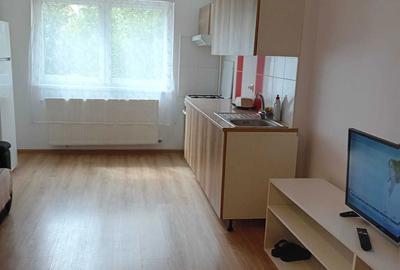 Închiriere Apartament 2 camere zona Pallady Residence - Metrou Nicolae Teclu - 2