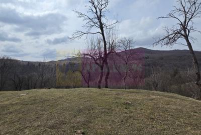 Teren intravilan 2200 mp de vanzare in Valea Doftanei - 4