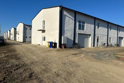 Inchiriere Hale Industriale în Aluniș, Arad  250 mp-1.500 mp - 1