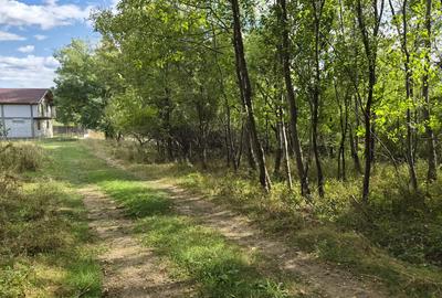 TEREN IN VLADESTI - NATURA, LINISTE SI DOAR 7 KM PANA IN CENTRUL RAMNICULUI - 5