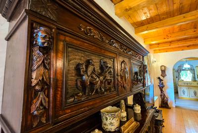 Proprietate Deosebita | Teren 3000 MP | Barbeque | Acces Padure |VIDEO - 11