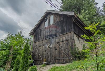 Vilă turistică de vânzare la 5 minute de CASTELUL BRAN | COMISION 0% - 43