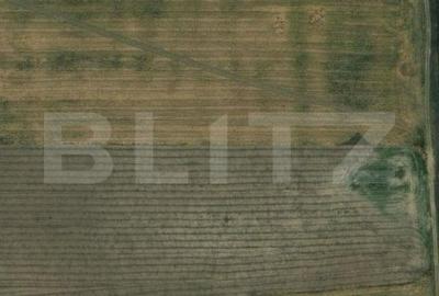 Teren extravilan, zona Carcea, cu o suprafata de 12218 mp - 1