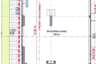 Spatiu Comercial pe Bld. Victoriei vizavi de Parcul Sub Arini - Hotel Mercure - 9