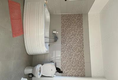 De vanzare casa individuala 4 camere+curte 900mp, Varteju - 9