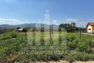 Teren intravilan | 2900 mp | 17 ml deschidere | Alba-Micesti - 4