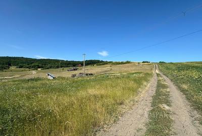 Teren extravilan cu priveliște deosebita, la liziera padurii - Dezmir - 2