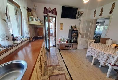 Vila Rustic Corbeanca Petresti - 22