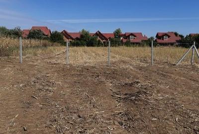 Teren Construcții intravilan de 980 mp, în Corbeanca - 5