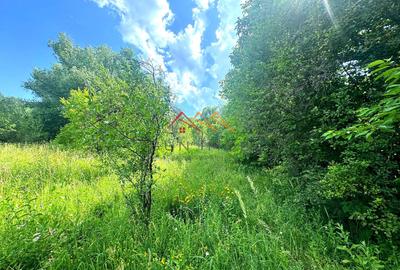 Teren 2037 mp, 17 ml deschidere, 28 euro/m2, vedere panoramica - 5