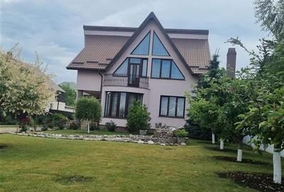 Vila de vanzare 260 mp cu anexe 40 mp si teren 1600 mp - 4