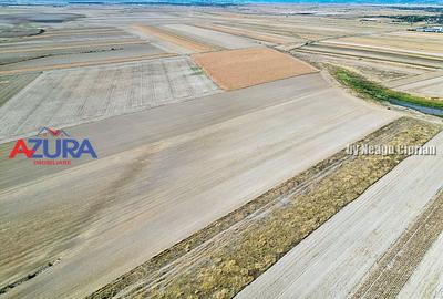 Teren agricol extravilan de 47200 mp, în Căteasca