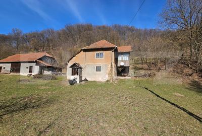 Casă individuală cu 3 camere în Almașu Mare