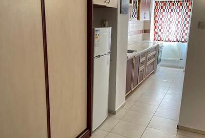 Mihail Sebastian Garsoniera amplasata excelent - 4