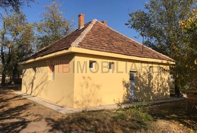 Ferma complet utilată – 30 ha teren comasat cu 11.500mp grajduri renovate Timiș - 14