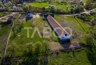 Casă individuală cu 3 camere în Pianu de Sus