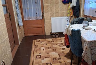 Casa  si curte, un singur nivel - 7