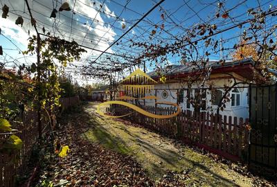 Casa batraneasca din caramida de vanzare si 4500 mp teren Negri Bacau - 1