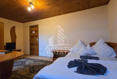 Pensiune 16 camere, Zona Elisabetin, - 17