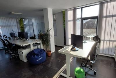 Casa individuala, ideal sediu firma in Andei Muresanu - 10